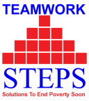 STEPS Logo